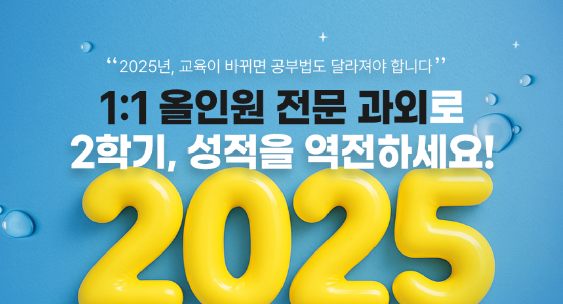 2025 1:1 전문 과외